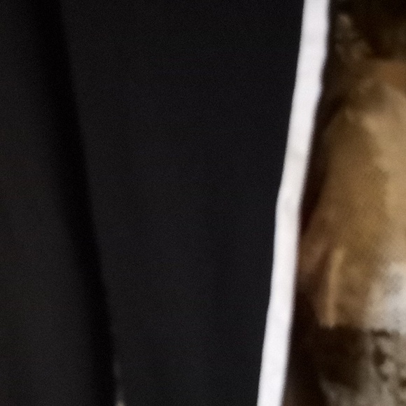 Torrid Capri pants size 2X - Picture 5 of 10